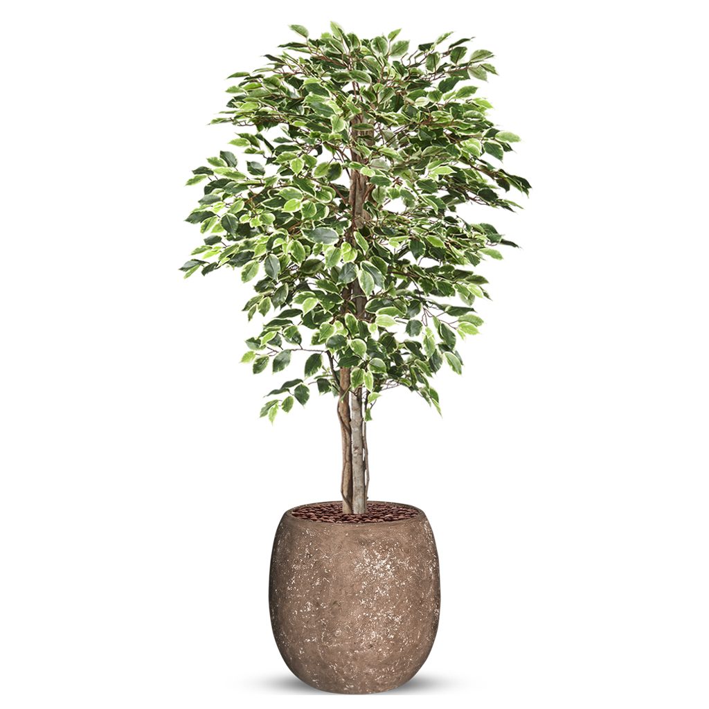 Groen zonder gedoe: de magie van kunstplanten